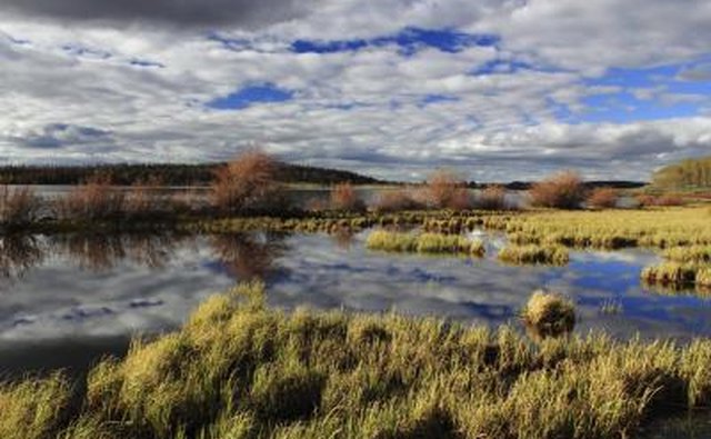 National Forest Lake, Laramie, WY.