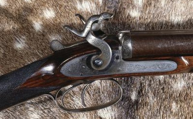 The Shoshone did not acquire guns like other tribes.