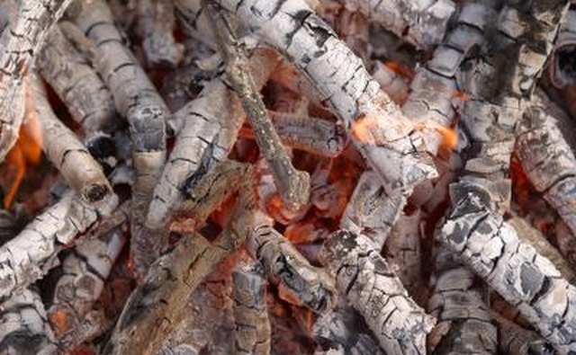 The Shoshone cooked on hot rocks or open fires.