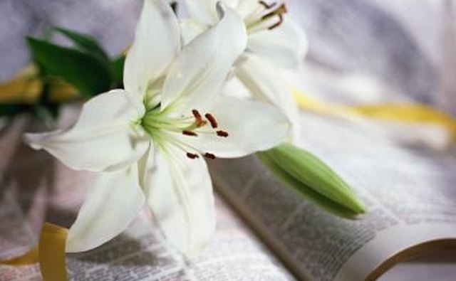 Lent is a period of renewal and preparation for the coming Easter holiday.