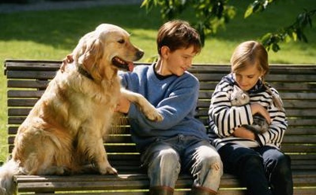 Children with a cat and dog.