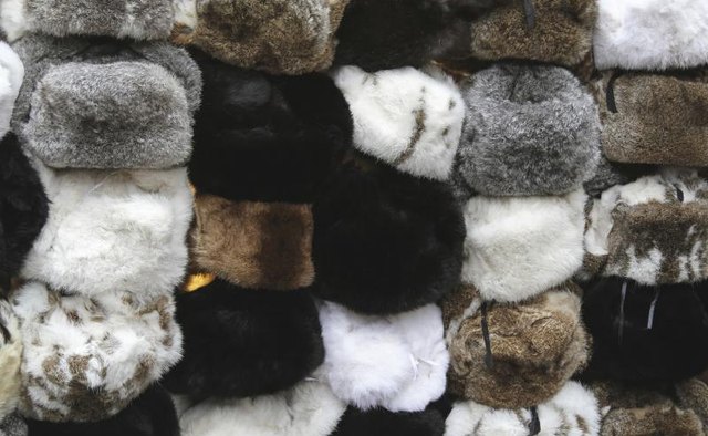 Assortment of ushanka hats.