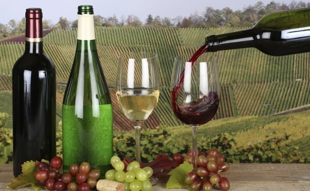 Set-up for a wine tasting event
