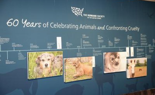 Close-up of Humane Society wall