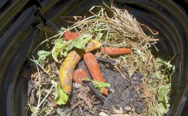 A birds eye view looking down into a compost bin.