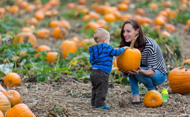 Boy and mom in pumpkin patch