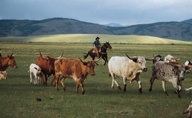 Buy your meat in bulk and directly from a local farmer.