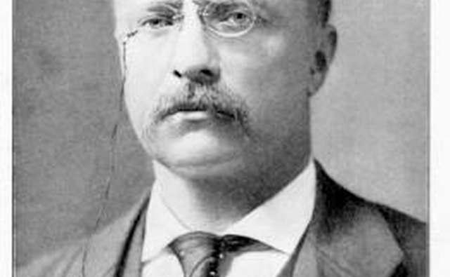 roosevelt and wilson election essay roosevelt and wilson election essay