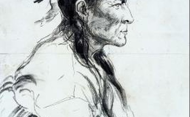 There was one principal chief chosen from many family chiefs in a Pomo community.