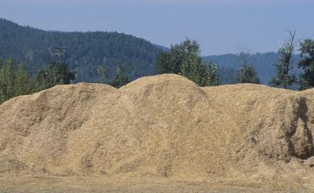 Sawdust