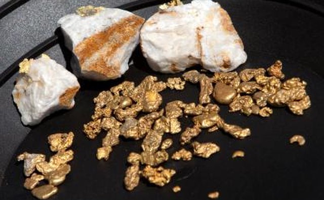 Gold nuggets found panning and quartz with gold strands