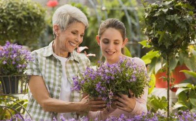 Children often feel able to discuss personal matters while spending time with a grandparent.