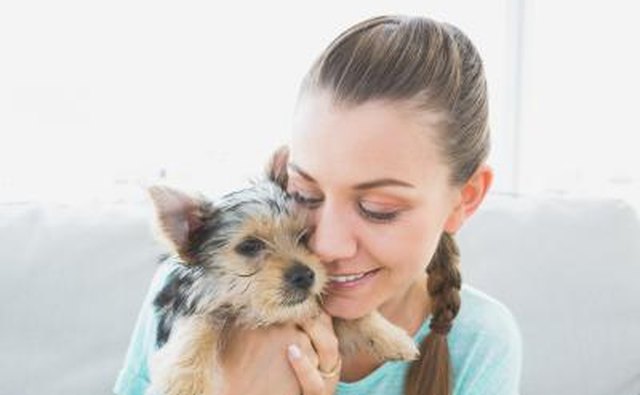 Young woman hugging dog