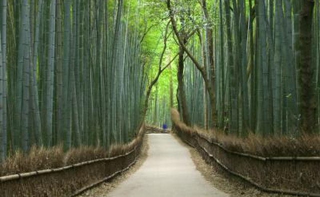 Kyoto