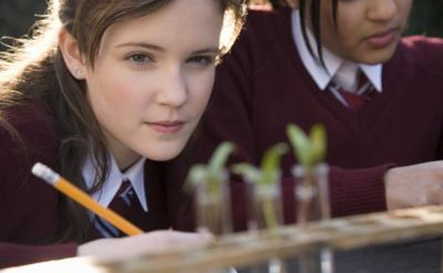Girls will continue to grow until puberty has finished.