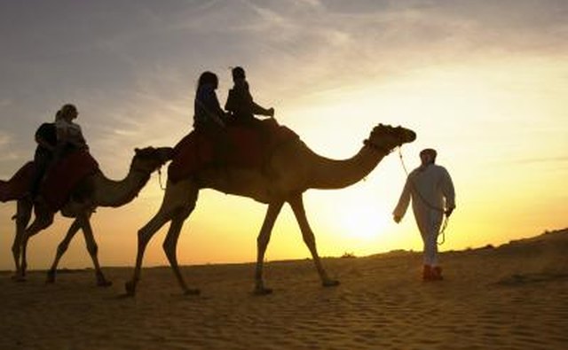 If you have always dreamed of travelling, now may be the time.