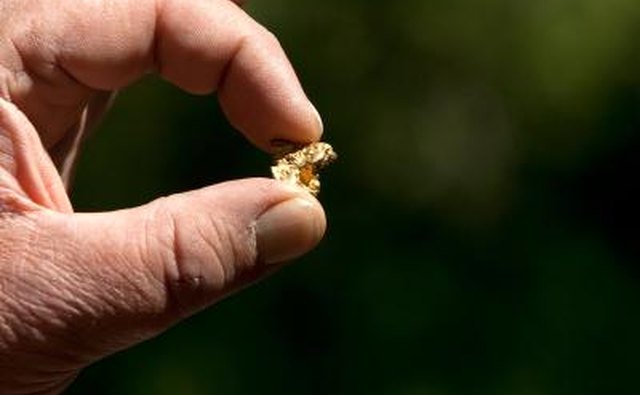 Man holding up a gold nugget