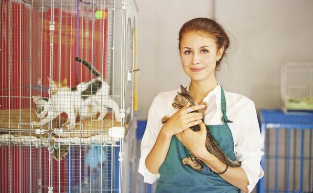 Woman holding a cat at an animal shelter.