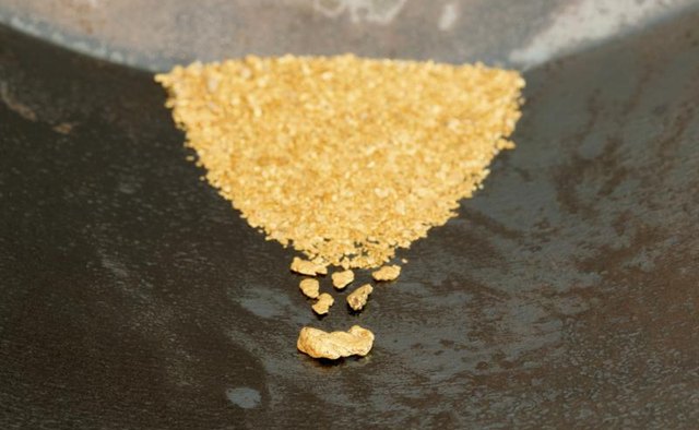 Gold nuggets in a pan with water.