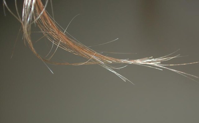 A small lock of hair.