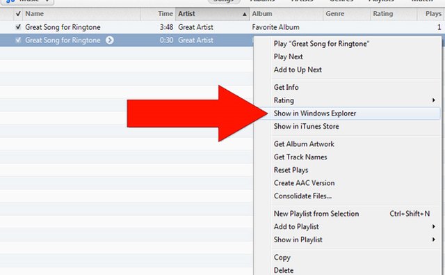 Open the AAC file in Explorer.