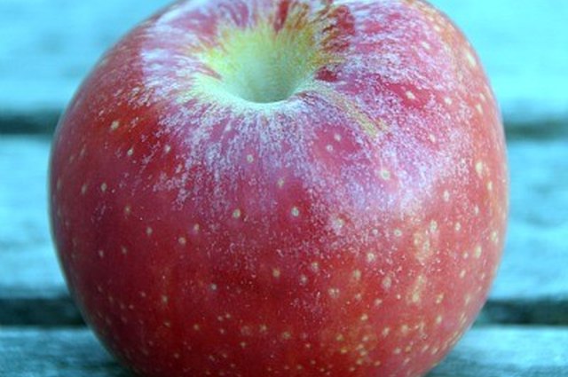 Spiced Apple Pie Jam