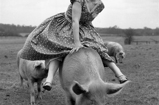 The Real Reason No One’s Living High on the Hog