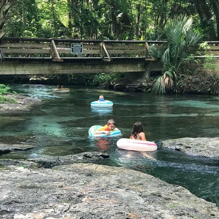 This Hidden Lazy River In Kelly Park Florida Has Some Of The Bluest