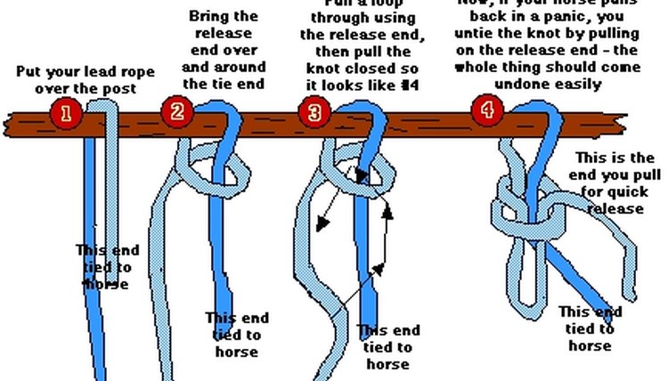 www.windwalkerstable.com