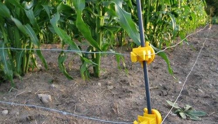 http://tinyfarmblog.com/wp-content/uploads/2007/08/sum2007_electric_fence.jpg