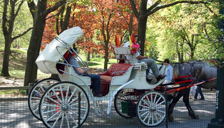 horse and carriage image by Stephen VanHorn from Fotolia.com