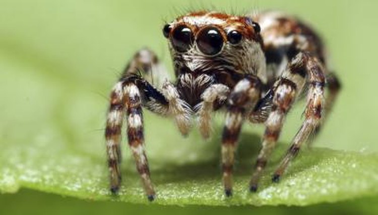 karthik_photography/iStock/Getty Images
