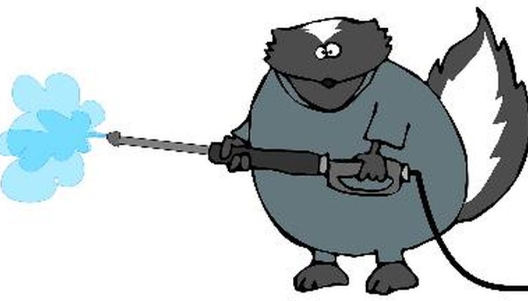 Skunk With A Pressure Washer image by caraman from Fotolia.com