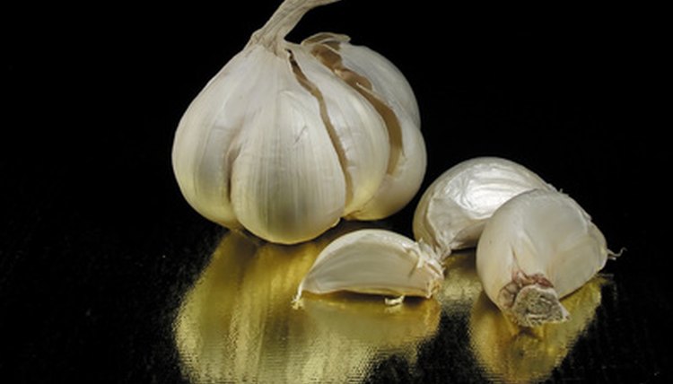 garlic image by Marek Kosmal from Fotolia.com