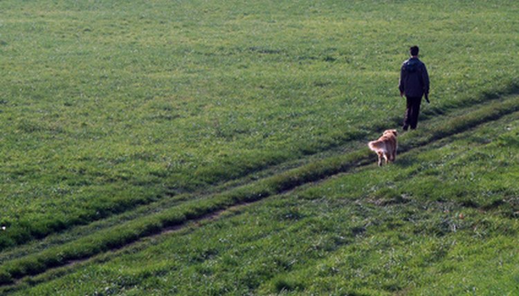 never walk alone image by Dubravko Grakalic from Fotolia.com