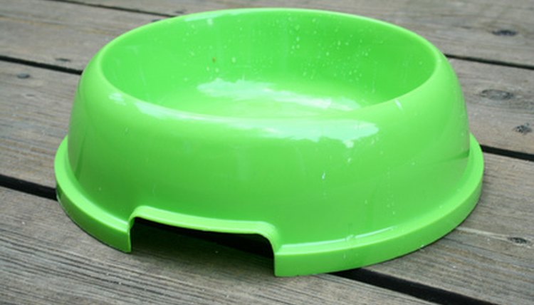Green dog water bowl image by Jim Mills from Fotolia.com