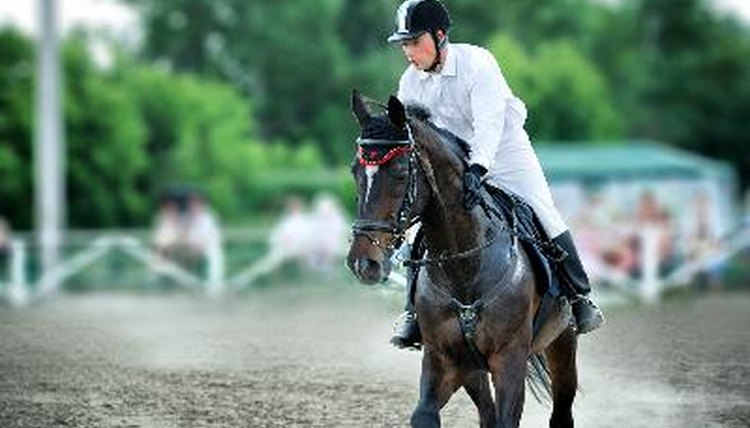 Horse theme: jockeys, horse races, speed. image by Andrey Kiselev from Fotolia.com