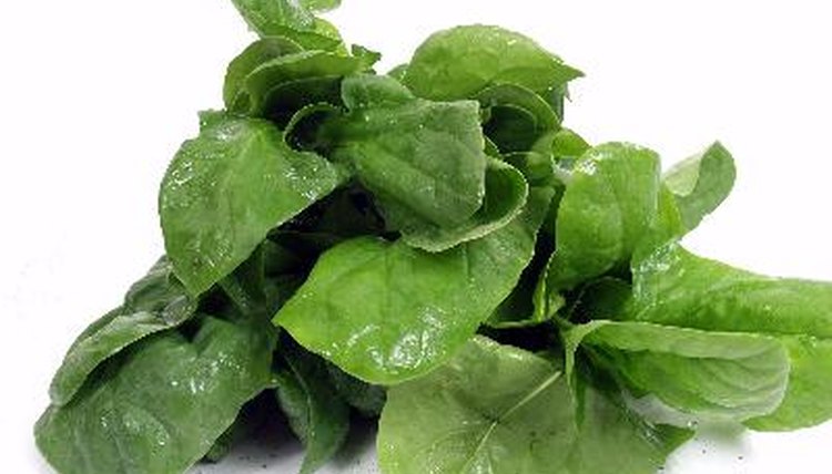 spinach image by Ramon Grosso from Fotolia.com