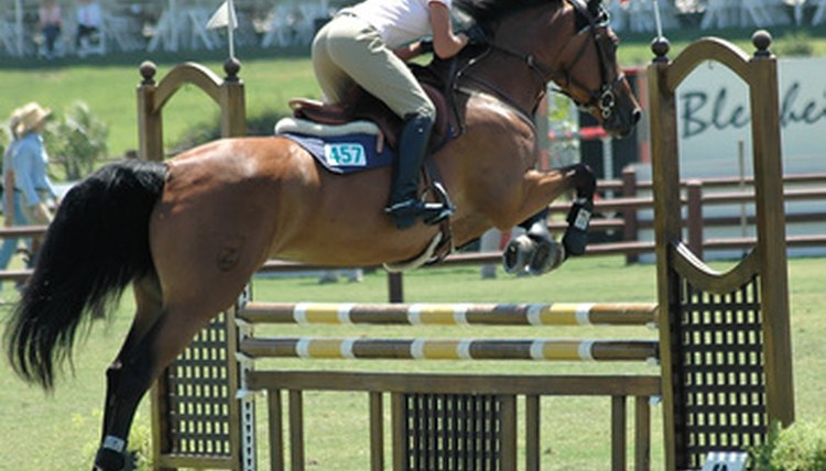 horse & rider jumping a barrier image by Clarence Alford from Fotolia.com