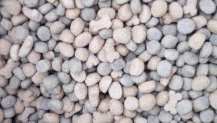 pet food image by timur1970 from Fotolia.com