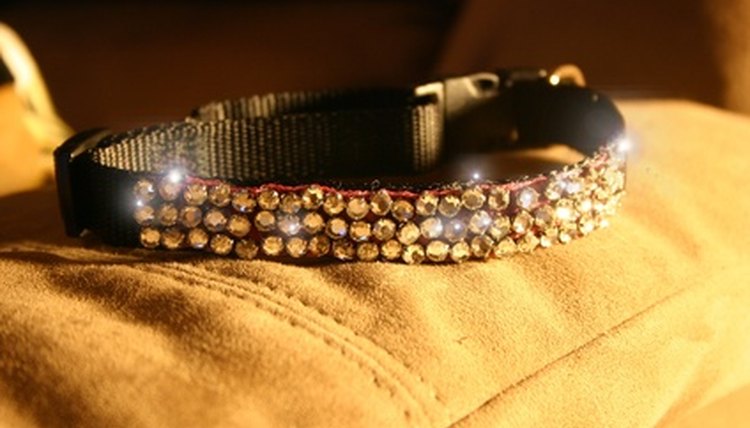 collar image by Allyson Ricketts from Fotolia.com