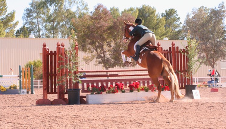 horse jumping image by Wendi Evans from Fotolia.com