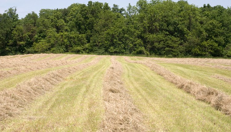 Making hay image by Allen Stoner from Fotolia.com