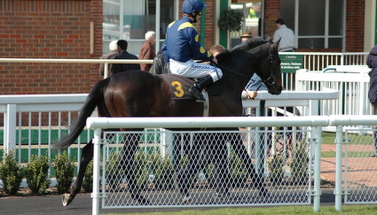 horse racing image by david purday from Fotolia.com