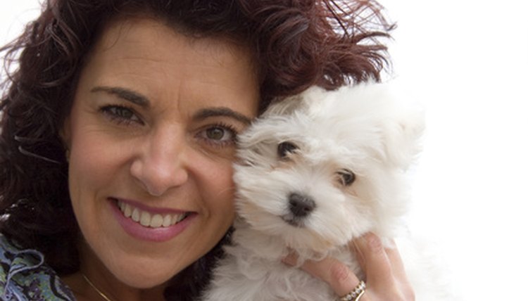 woman and bichon dog image by Pierrette Guertin from Fotolia.com