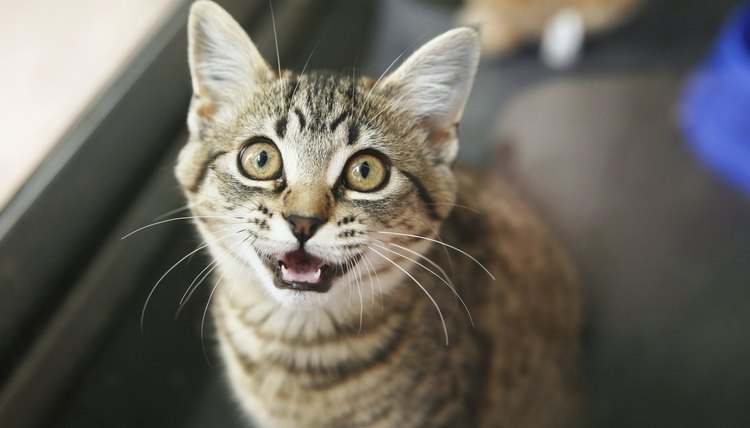suemack/iStock/Getty Images