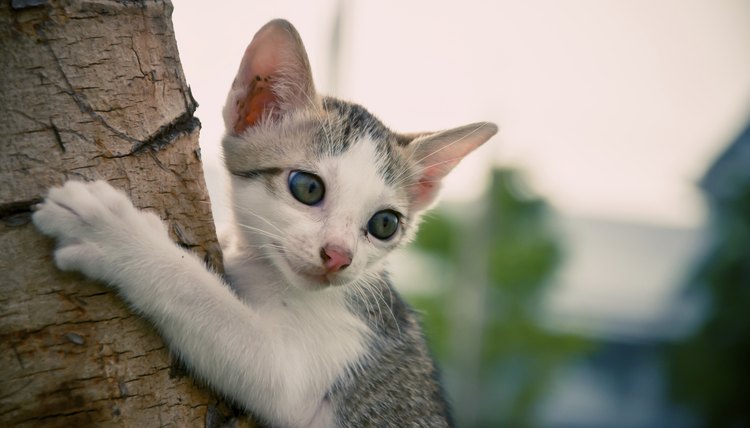 nuiiko/iStock/Getty Images