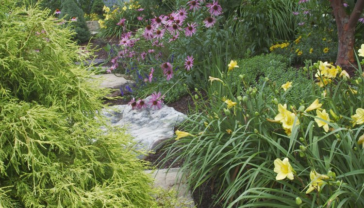 The Tennessee State Bird Tree And Flower Sciencing