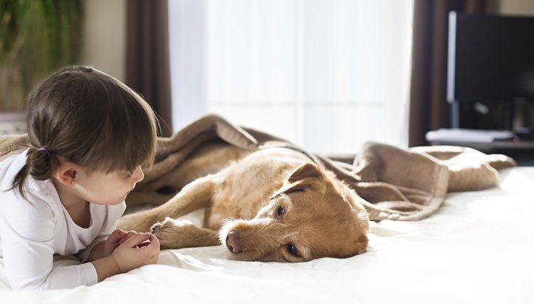 kandypix/iStock/Getty Images