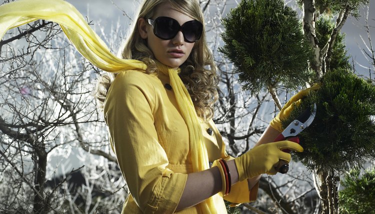 Teenage girl (14-15) cutting leaf with secateurs, portrait, close-up
